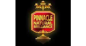 Pinnacle car care products